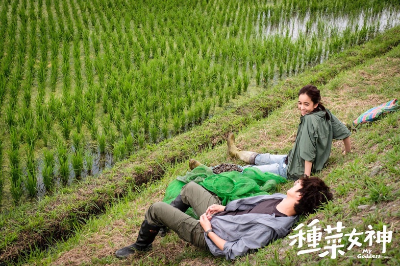 網議「劇名不吸引人但好看台劇」!《命中注定我愛你》太俗?這部神劇被誤會是無腦劇!