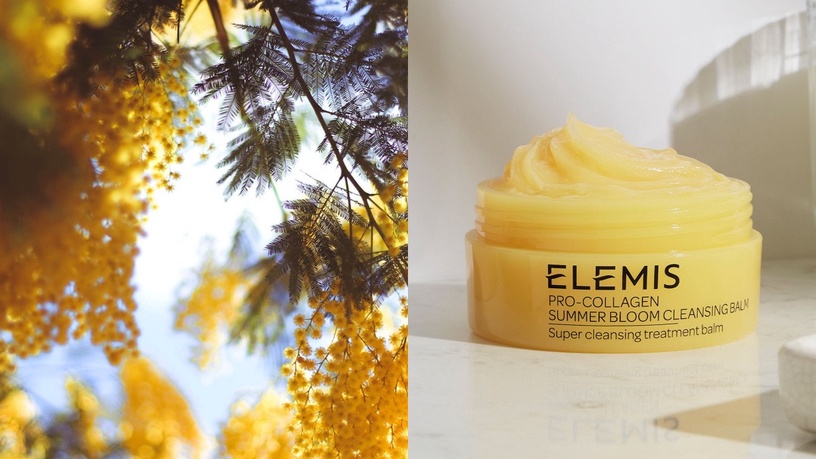 療癒系卸妝推薦1:ELEMIS 海洋膠原精油卸妝膏