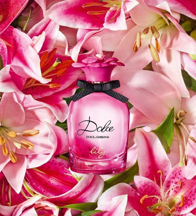 2022 PTT、Dcard人氣香水推薦:DOLCE & GABBANA 幸福花園香水
