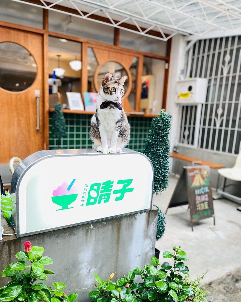 精選5家台北質感刨冰店!日系刨冰好拍又好吃,夢幻口味讓你暑氣全消