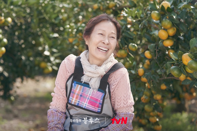 《藍調》她們的故事比劇還精彩!李姃垠50歲才爆紅,金惠子竟是有錢大小姐?家有200坪