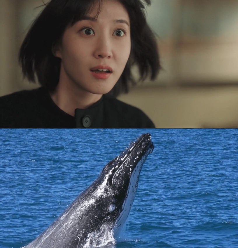 《非常律師禹英禑》「鯨魚」細節!律所佈景藏玄機,英禑這隻鯨魚只能在「汪洋」生存!