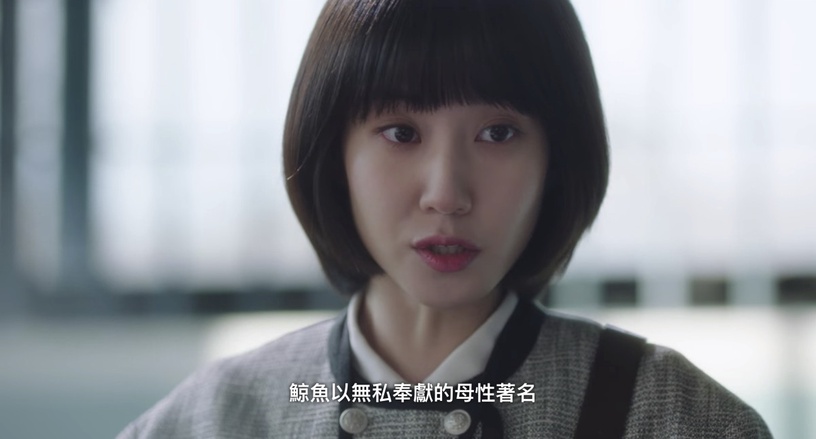 《禹英禑》6個「劇情對比」!鯨魚母愛vs.沒有母親的英禑,向日葵vs.信件藏這意義