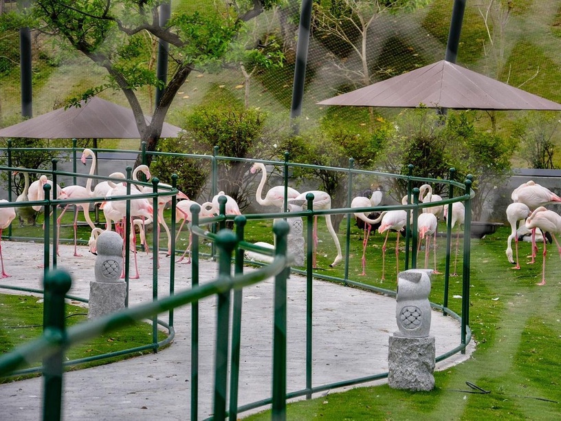 九九峰動物樂園