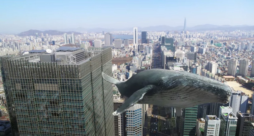 《禹英禑》鯨魚畫面隱喻!背鰭彎曲的虎鯨有深意,英禑對濬浩心動,水面波紋變「海豚」