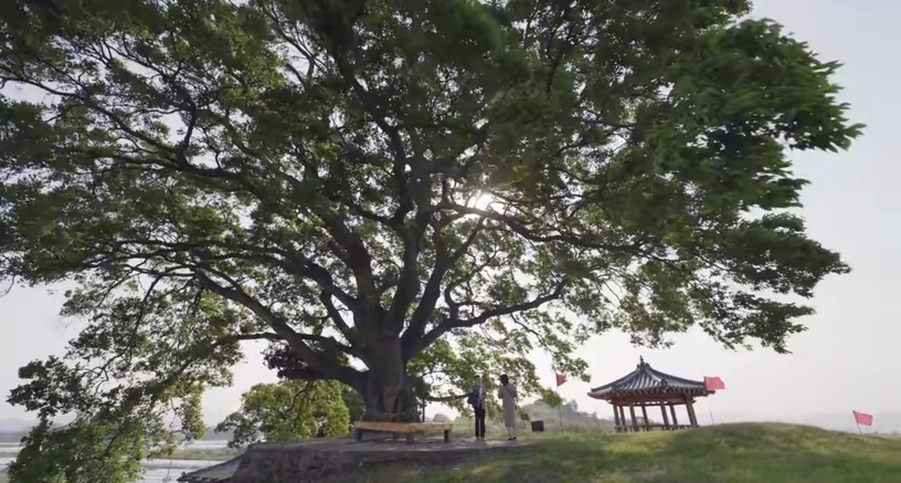 《禹英禑》案件隱藏意義解析!背鰭彎曲的虎鯨以「提利康」為原型,「朴樹」設定藏深意