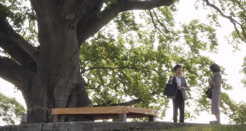 《禹英禑》案件隱藏意義解析!背鰭彎曲的虎鯨以「提利康」為原型,「朴樹」設定藏深意
