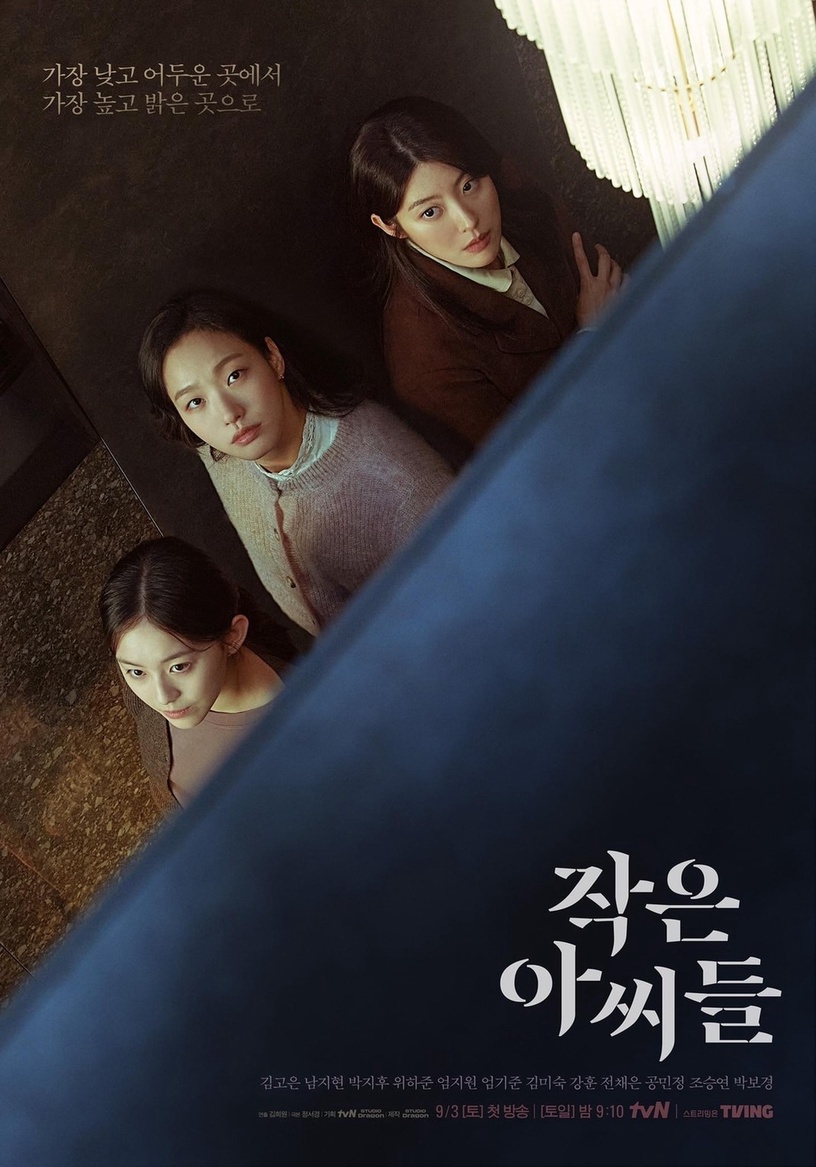 金高銀新劇《小女子》最新預告公開!《文森佐》導演執導,5大看點不能錯過!