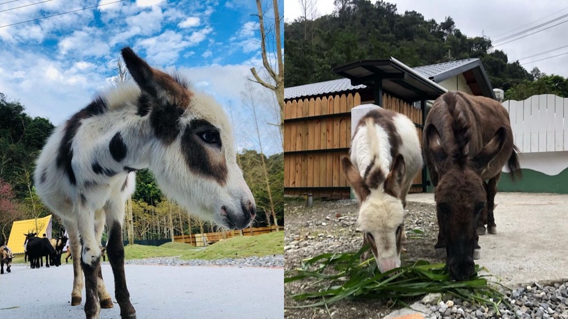 宜蘭旅遊景點推薦8:長埤湖精靈村