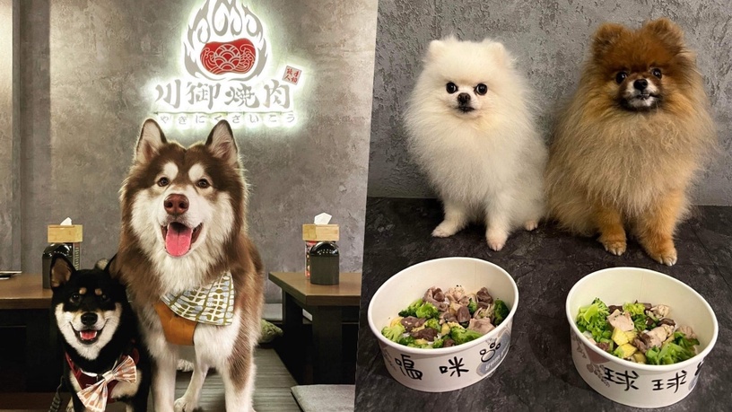 桃園寵物友善餐廳推薦6:川御燒肉專門店