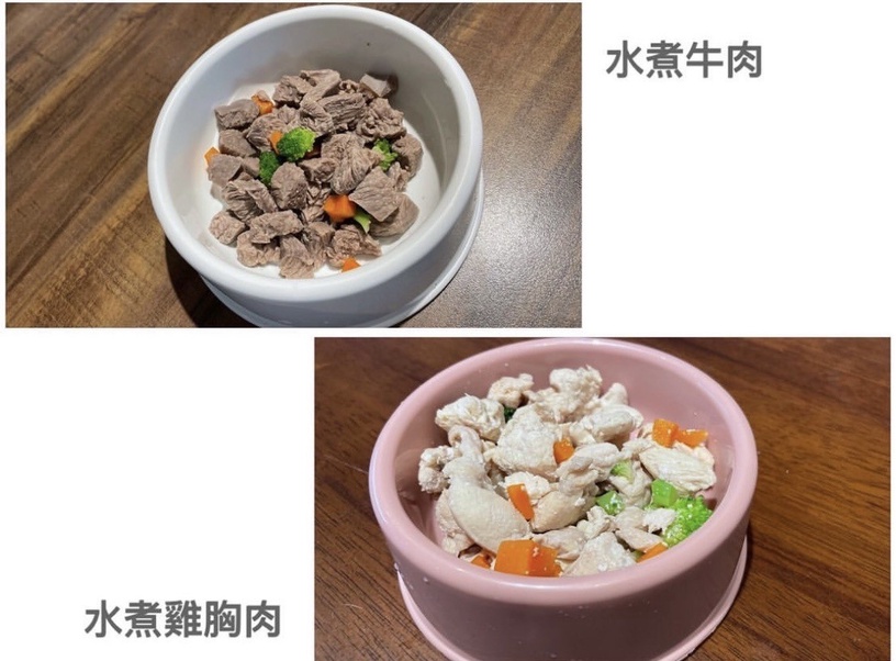 8間「桃園寵物友善餐廳」推薦!一次5隻狗店長寵幸、毛孩到店用餐送牛小排