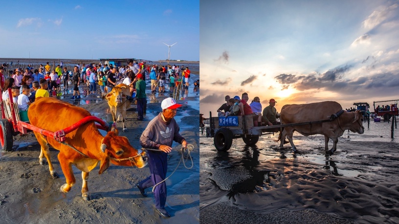 海牛採蚵之旅
