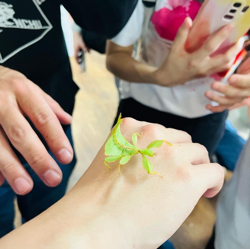南投景點推薦:蝴蝶小鎮