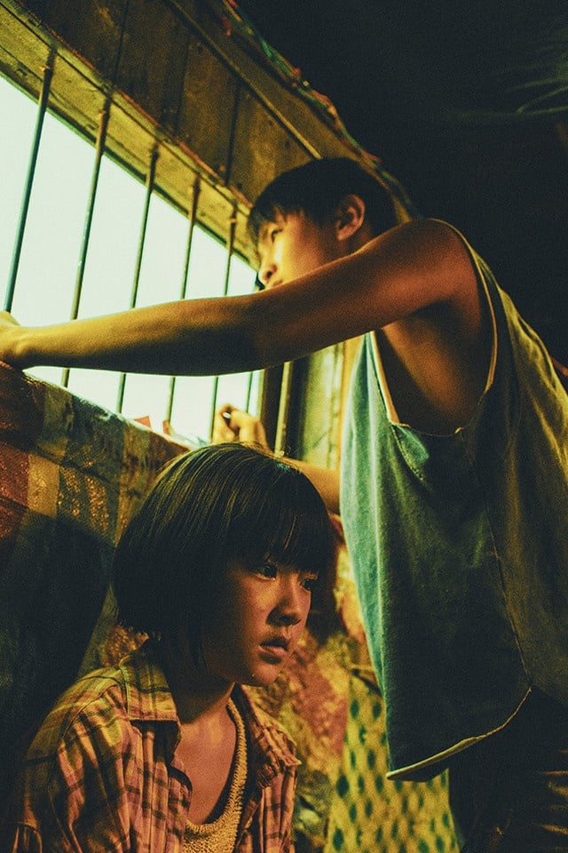 陸劇「豆瓣評分人數」Top10!《蒼蘭訣》破50萬,《甄嬛傳》第九,《陳情令》斷層第一