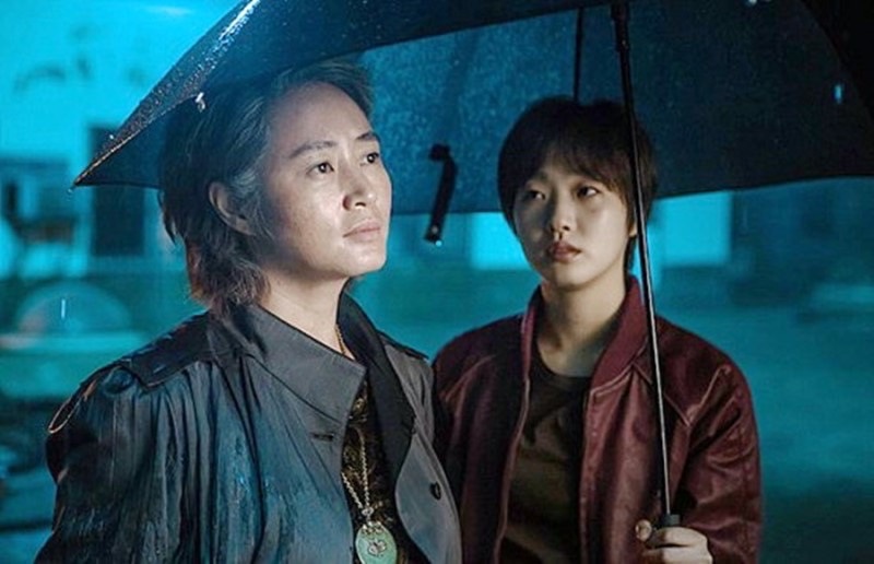 《王后傘下》金憓秀必看作品!《信號》《少年法庭》經典,曾與《千元律師》的她合作過