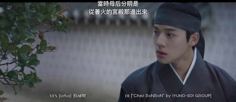 《王后傘下》7個親情細節!中殿替啓晟大君撐起一片天,成枏大君早就發現啓晟大君秘密