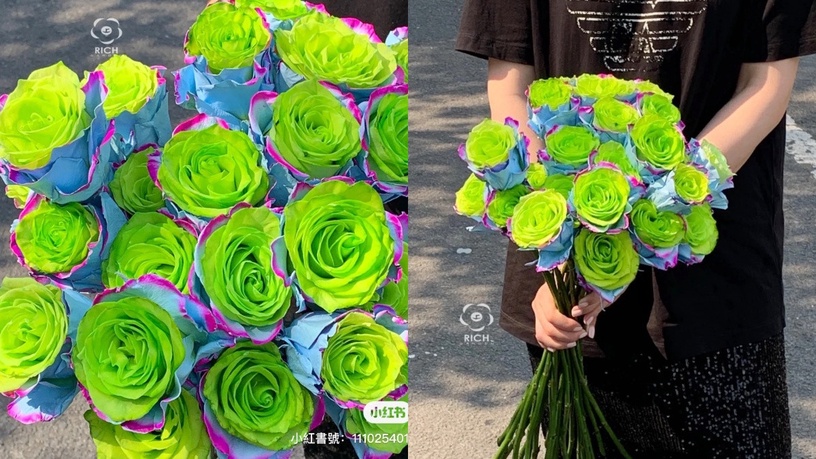 仙女專屬綠玫瑰!三眼怪配色「綠玫瑰花束」,綠x藍紫漸層超吸睛,浪漫花語藏不住
