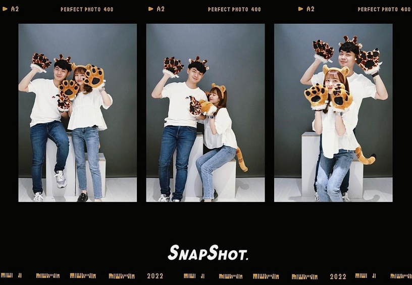 SnapShot