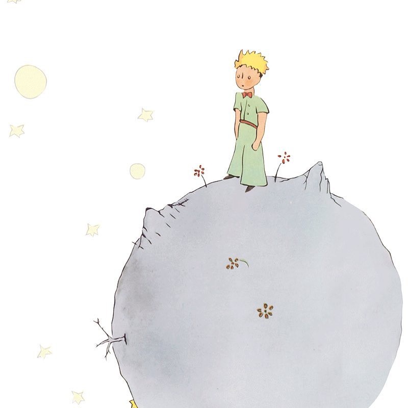 《小王子》10句經典語錄:「當你遇見無可取代的人,請用盡一輩子的時間和力氣去愛。」