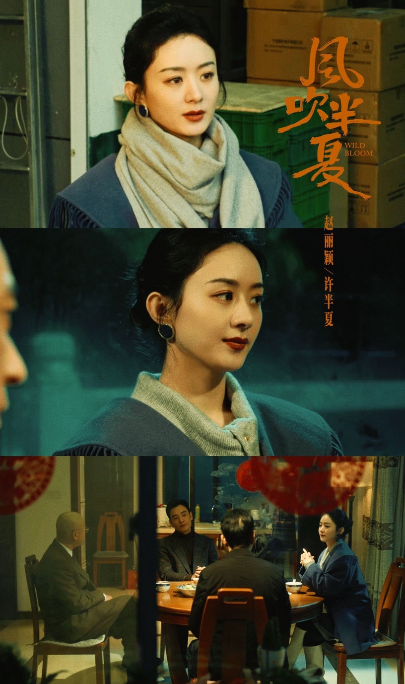 陸劇背後「原型故事」!《風吹半夏》趙麗穎原型竟是作者本人,《人生大事》原型更感人