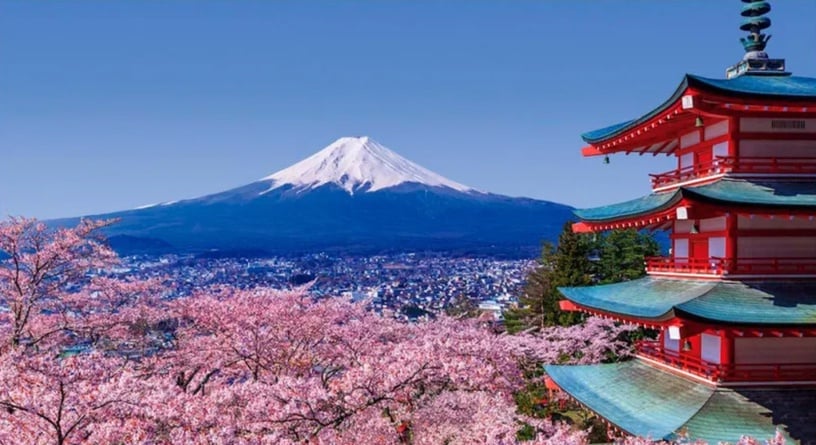2023新年賞櫻去!首波日韓櫻花季攻略開跑,除了日本東京,韓國這些賞櫻景點也超夢幻