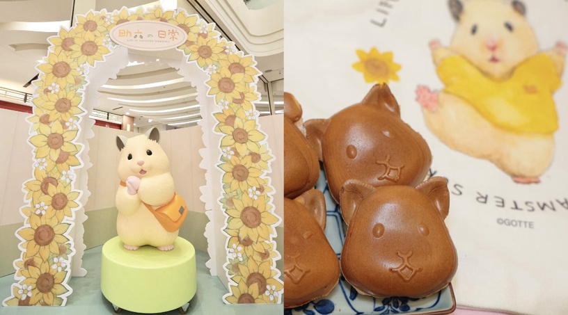華山 | BABY SHARK 放電趴特展