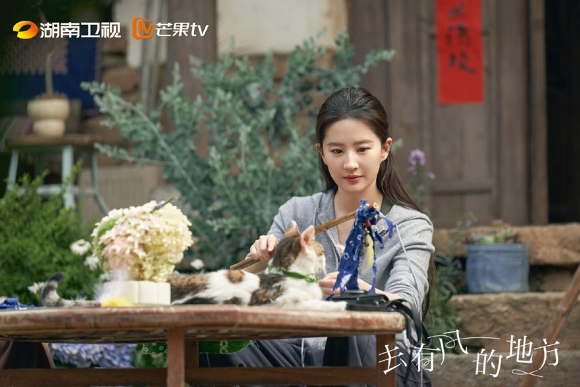 近期陸劇熱度榜TOP10!《浮圖緣》輸給《少年歌行》,《去有風的地方》2天網播就破億!