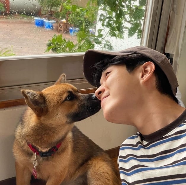 「犬系顏」男星代表!《黑暗榮耀》李到晛不輸丁海寅,金旻奎是禁慾忠犬,他堪稱始祖!