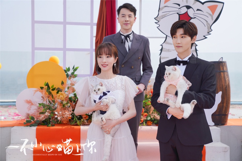 2023開年騰訊陸劇熱度榜Top10!《擇君記》第四,《三體》強勢進榜,冠軍是近期熱度王