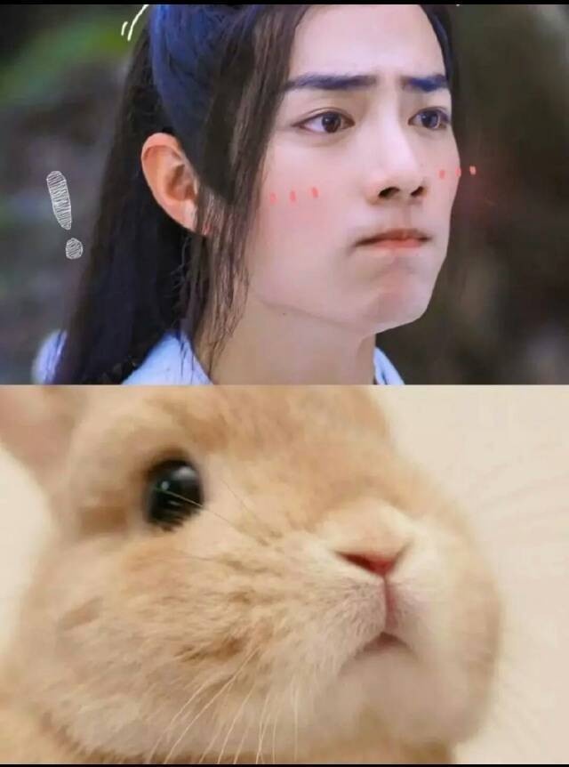 陸劇10位「兔系長相」明星!王鶴棣&吳磊是霸氣猴系,肖戰&楊洋是溫柔清新的兔系帥哥