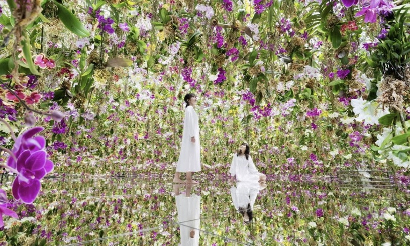東京景點|2023「teamLab Planets TOKYO」,14項互動藝術品,漂浮花園、水晶宇宙美哭