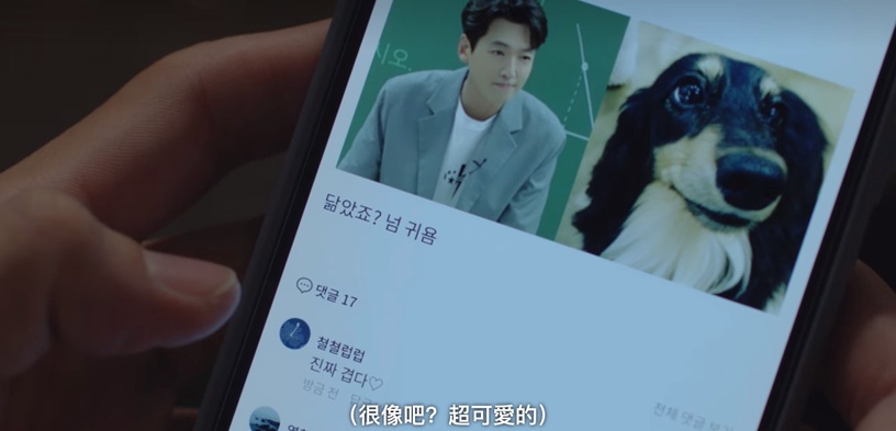 《浪漫速成班》劇情「隱藏彩蛋」!榮珠髮夾有巧思,「狗狗」竟藏鄭敬淏和秀英放閃彩蛋