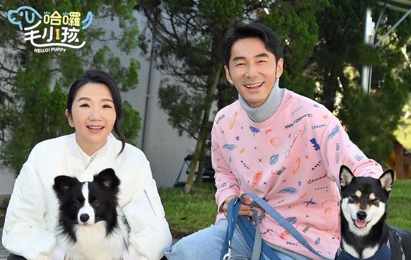 9位超寵毛孩台灣明星!吳慷仁貓咪藏洋蔥&蔡依林愛犬人氣高,米可白被侯友宜認錯太鬧啦