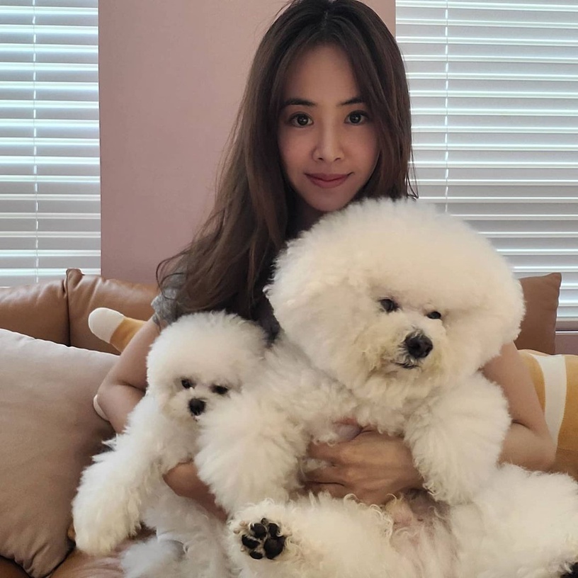 9位超寵毛孩台灣明星!吳慷仁貓咪藏洋蔥&蔡依林愛犬人氣高,米可白被侯友宜認錯太鬧啦