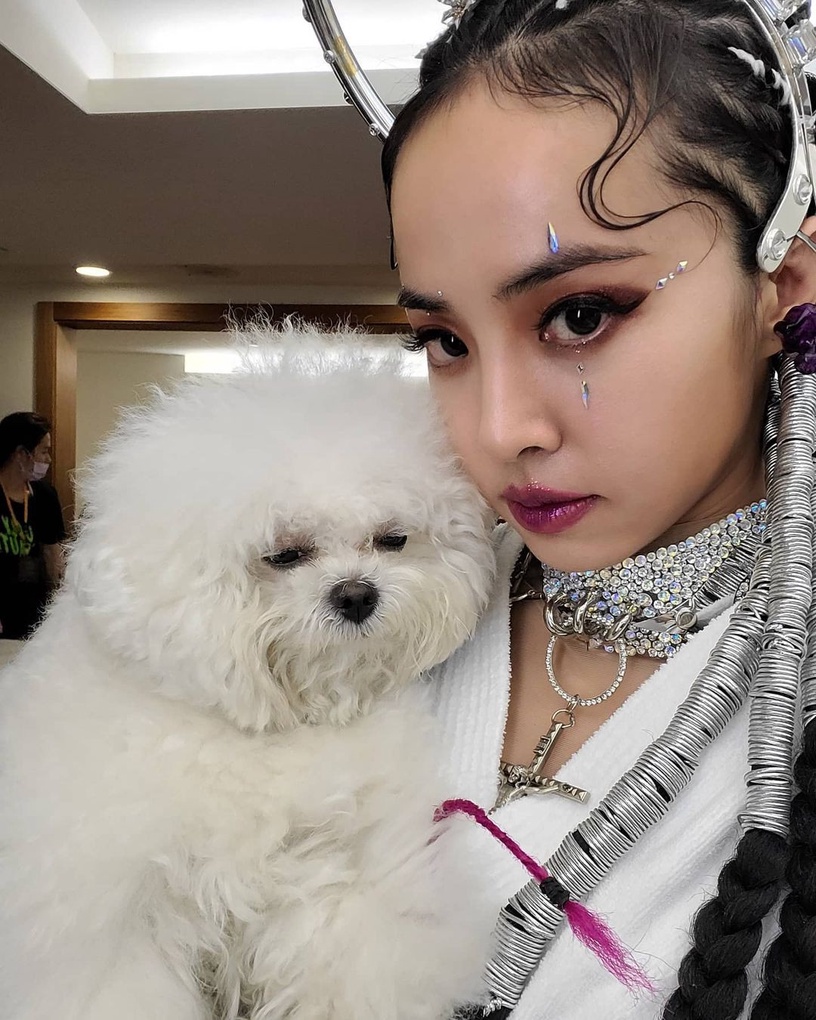 9位超寵毛孩台灣明星!吳慷仁貓咪藏洋蔥&蔡依林愛犬人氣高,米可白被侯友宜認錯太鬧啦