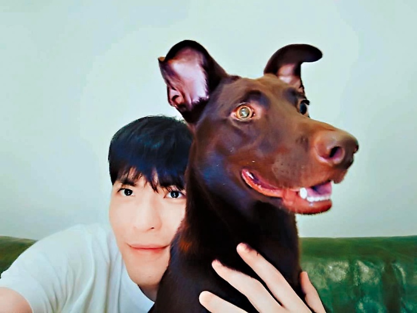 9位超寵毛孩台灣明星!吳慷仁貓咪藏洋蔥&蔡依林愛犬人氣高,米可白被侯友宜認錯太鬧啦