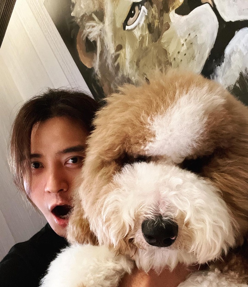 9位超寵毛孩台灣明星!吳慷仁貓咪藏洋蔥&蔡依林愛犬人氣高,米可白被侯友宜認錯太鬧啦