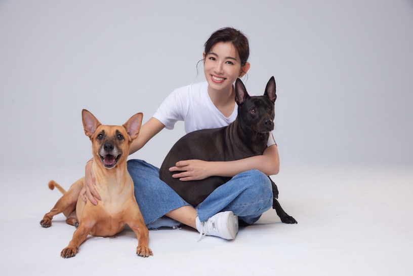 9位超寵毛孩台灣明星!吳慷仁貓咪藏洋蔥&蔡依林愛犬人氣高,米可白被侯友宜認錯太鬧啦