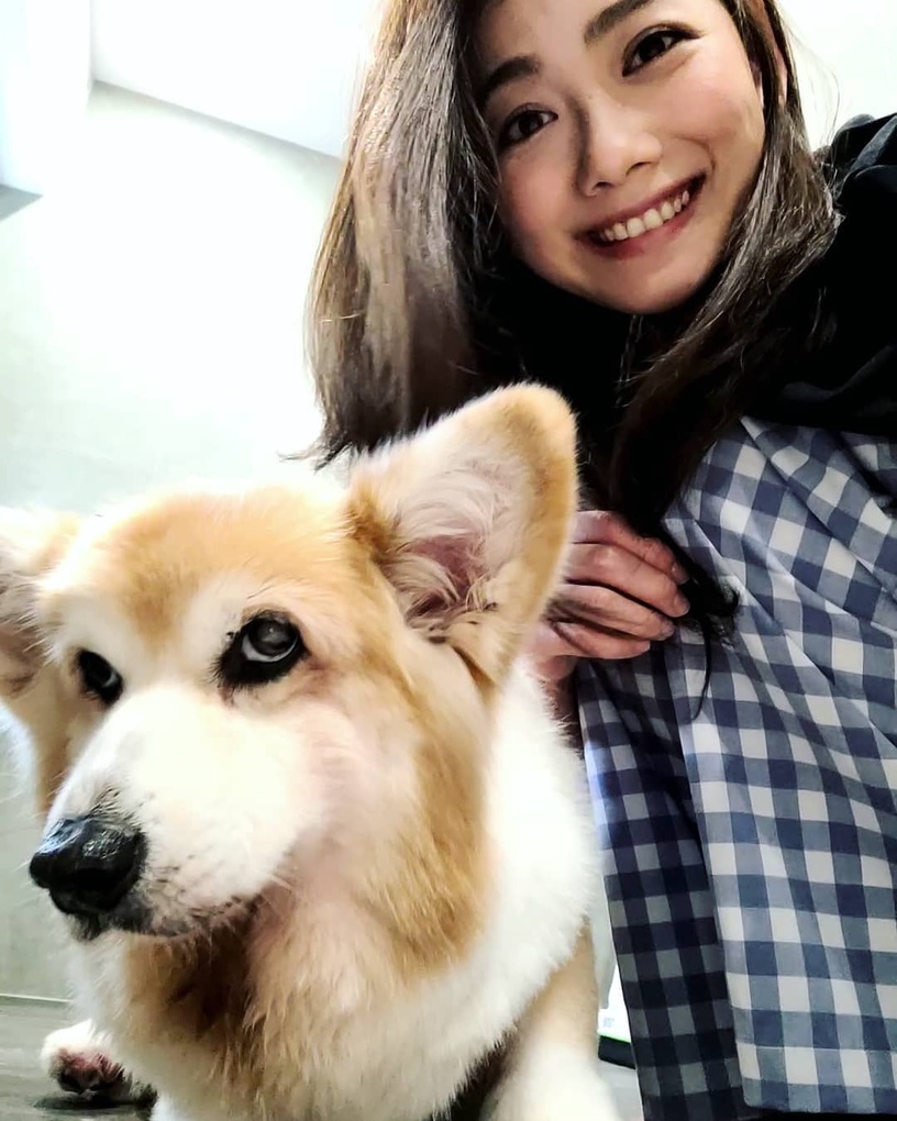 9位超寵毛孩台灣明星!吳慷仁貓咪藏洋蔥&蔡依林愛犬人氣高,米可白被侯友宜認錯太鬧啦
