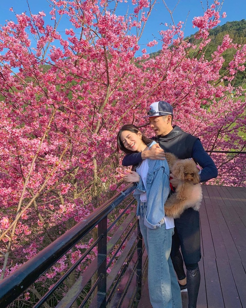愛情長跑台灣藝人!范少勳突拋喜訊、劉冠廷&孫可芳多次合作,這對結婚17年仍超級恩愛