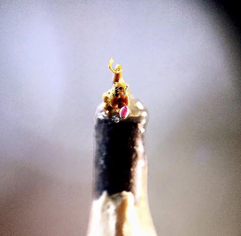 輕軌啟航!安坑輕軌周圍景點推薦:兩層樓高溜滑梯超刺激,就連站內的裝置藝術都好拍