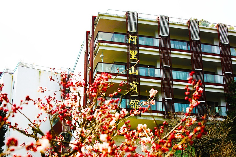 伴櫻花入睡!8間櫻花住宿推薦:奢華系露營、歐洲莊園風,一踏出房門就能將櫻花擁入懷
