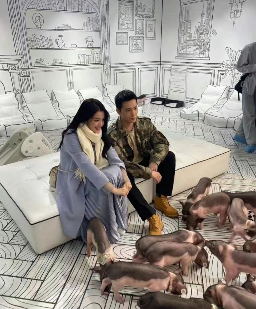 《聽說你喜歡我》王楚然7件事!楊洋緋聞女友,號稱「小劉亦菲」,分手王子奇挨轟現實
