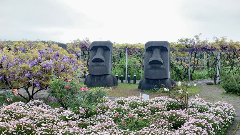 超夢幻「淡水紫藤園」3月開放!上千株紫藤花海浪漫盛開,限期兩周必朝聖