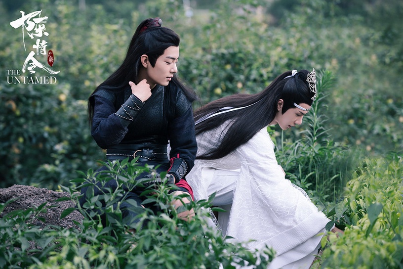 耽改陸劇豆瓣評分榜TOP10!《君子盟》第八,肖戰王一博《陳情令》竟才第四,冠軍破8.6